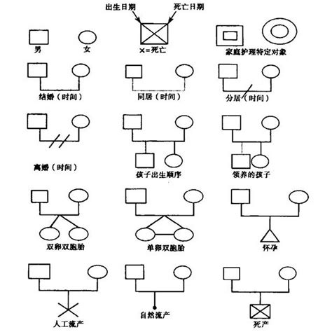 家庭圖關係線|免費AI親屬關係圖製作工具 